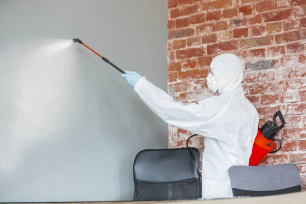 Best Water Damage & Mold Remediation  in Winnetka, IL