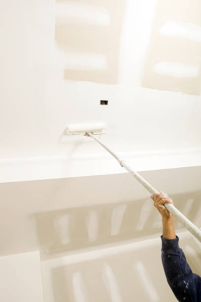Best Environmental Consulting for Mold Prevention  in Winnetka, IL