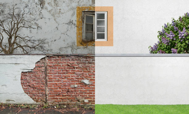 Best Air Quality Testing for Mold Spores  in Winnetka, IL