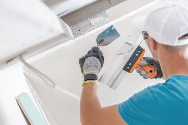 Best Post-Construction Mold Inspection  in Winnetka, IL